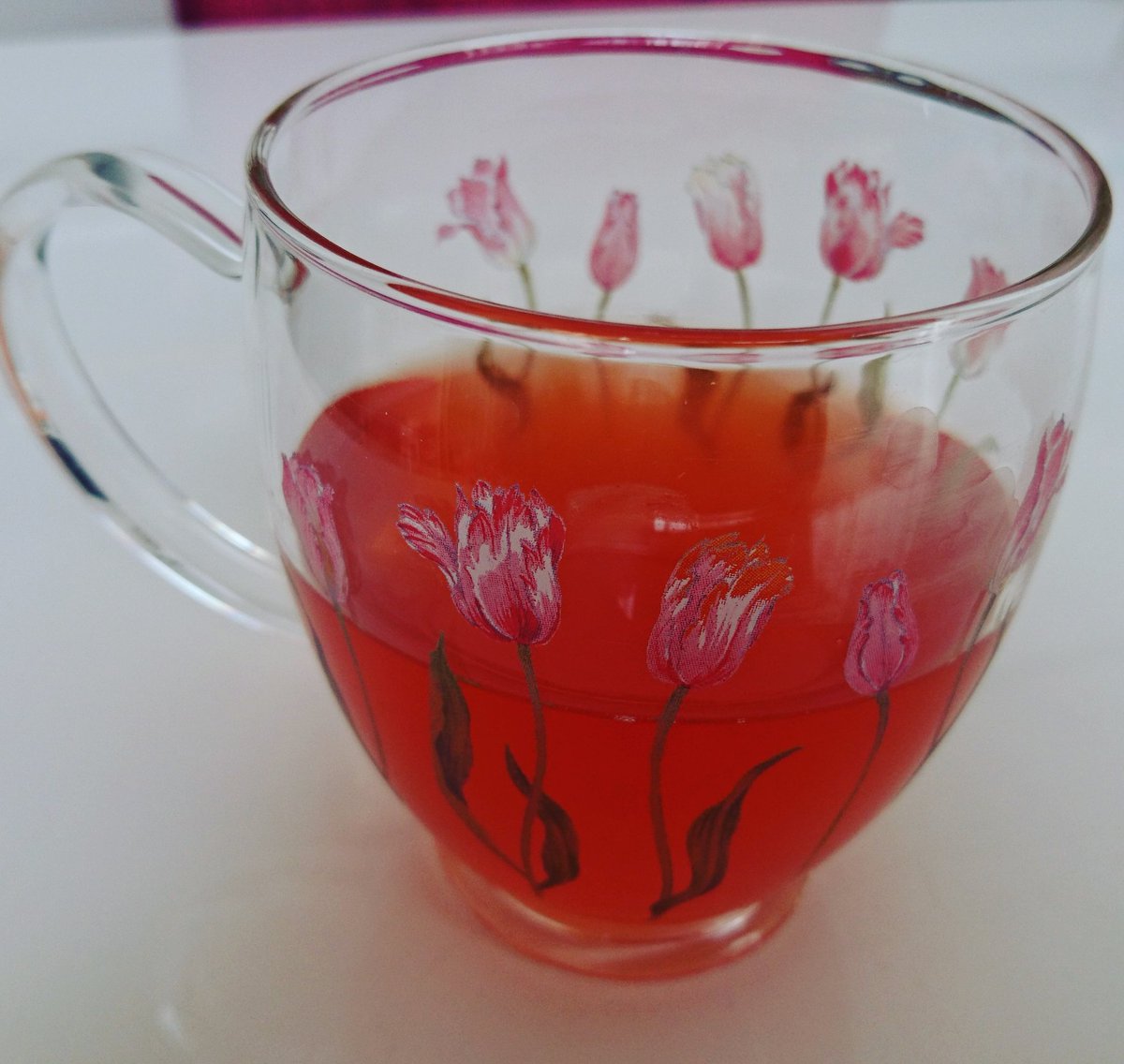 インテリア 建てる り アボカド の 種 お茶 Priceoita Jp