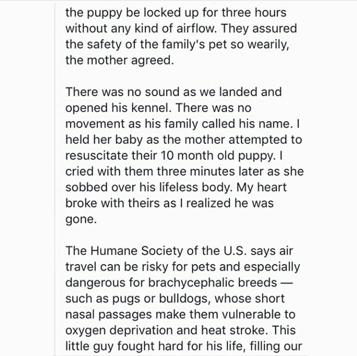 MBench5's tweet photo. @united What the hell do you have to say about this? This is beyond any words right now! I have never been so livid in my life! How could you let this happen? I will never fly United! This is absolutely heartbreaking! Shame on you!!! https://t.co/6ndQsXglyQ