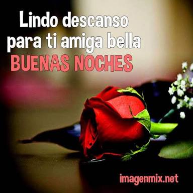 fanyRuffo's tweet photo. @patrycjaniemie5 @DrezaBastos @MonyAwiwis @Glorys_Awiwis @AliCriss92 @KarllaSilva31 @VaneVR31 @VanessaCrdena29 @marcianasilva28 @EspeditaAlves3 @AnaJordania09 @Angietekila04 @AtmaneHamida @Marissaa_Molina @penichevora @alina_ruffo Mi paty bella.. Tqm.. #FelizNoche 🌘🌃😗💖😍😍💜💜 https://t.co/6Q0ogggck3