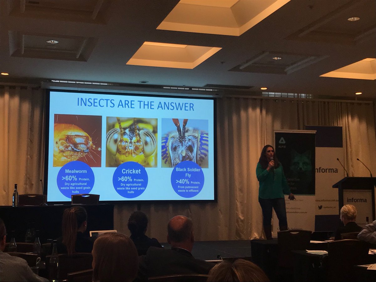 svnoles's tweet photo. Closing out #agtech18 with startup pitches. Love this pic from @GoterraCBR! https://t.co/K8It9YPXT9