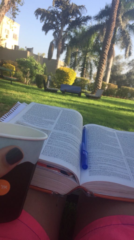 HannahBroyles2's tweet photo. beautiful morning to read Mark 4 and reflect on the purposes of the parables. #bbc2israel https://t.co/uZO6JmQT8r