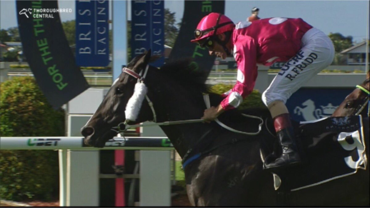 mattydunnracing's tweet photo. Robbie Fradd boots home the stable prepared Wild Ava to a Class 3 Hcp win over 1350m to claim race 7 on the @IpswichTurfClub card. https://t.co/mSZJT5YMAJ