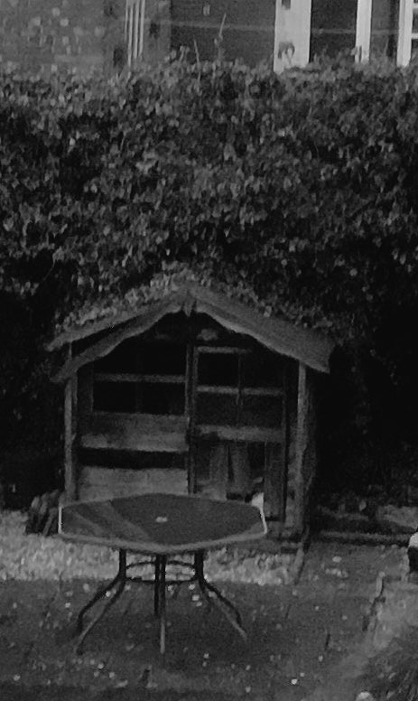 jogs71's tweet photo. #LentChallenge #day24 #refine I serious need to get into the garden and remove things that just dont work anymore. #letitgo #makeroomforthenew https://t.co/T89ouYtm9f