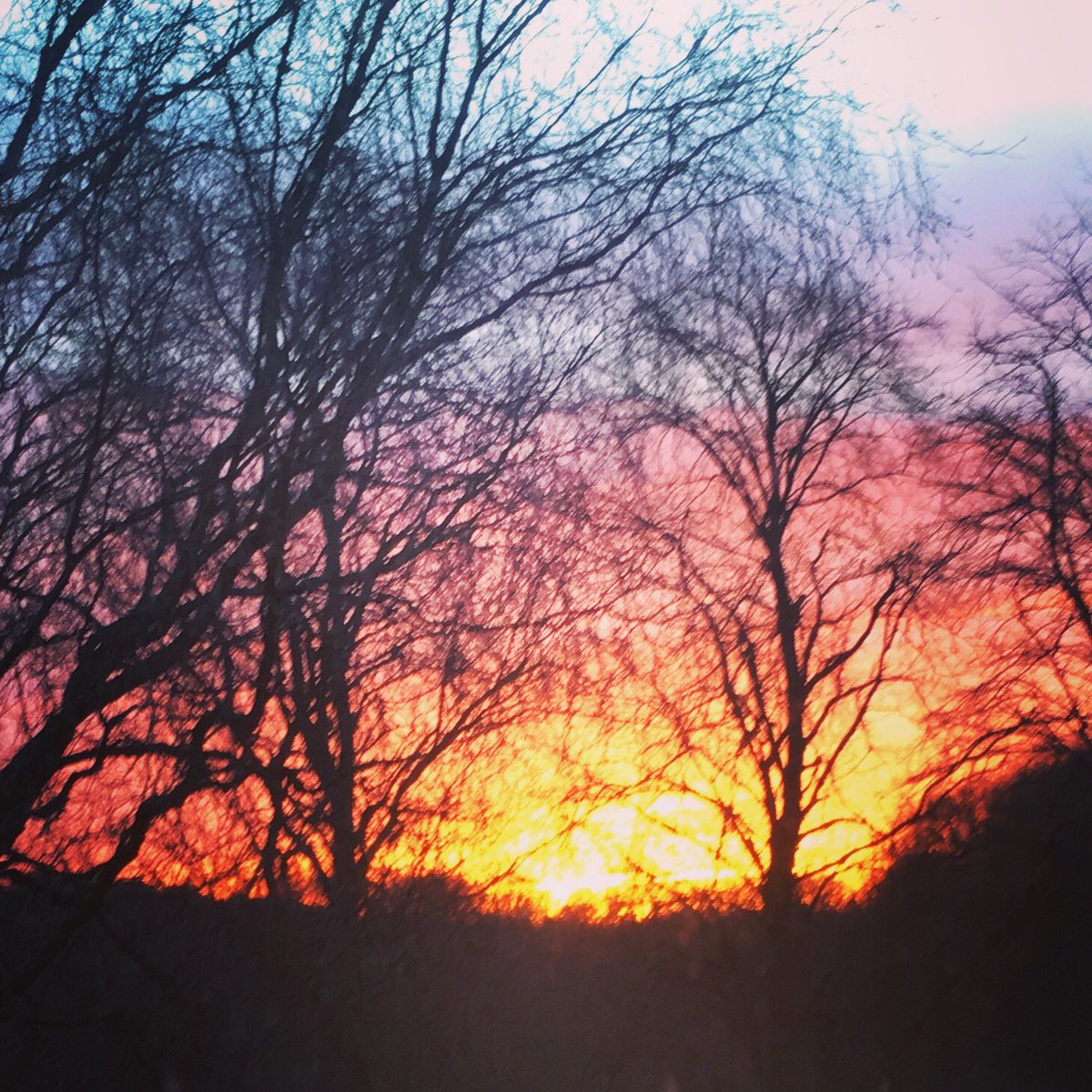 juliedcoaching's tweet photo. A fiery Scottish sunrise heralding a magnificent day.
#sunrise #scotland #beautifulday https://t.co/sbiOoGCMYT