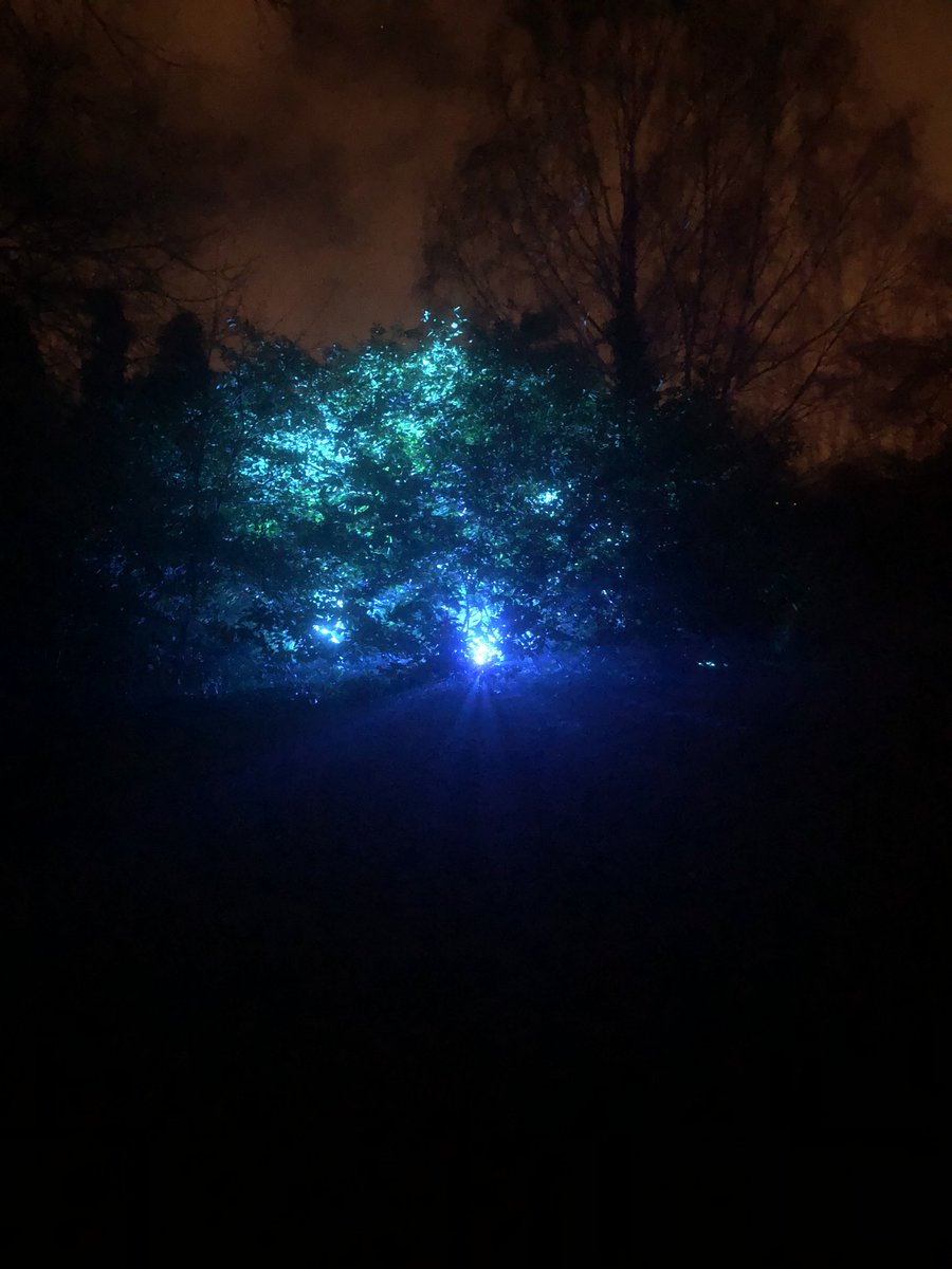 dpalighting's tweet photo. Congratulations to our London and Oxfordshire Team for WINNING the SLL Ready Steady Light Peer Award at last nights Ready Steady Light 2018!
#SLLRSL #RSL2018 Rose Bruford College #readysteadylight2018 #lightingdesign #lightart #light #lightingart #rightlightrightplacerighttime https://t.co/oczxHnrc0z