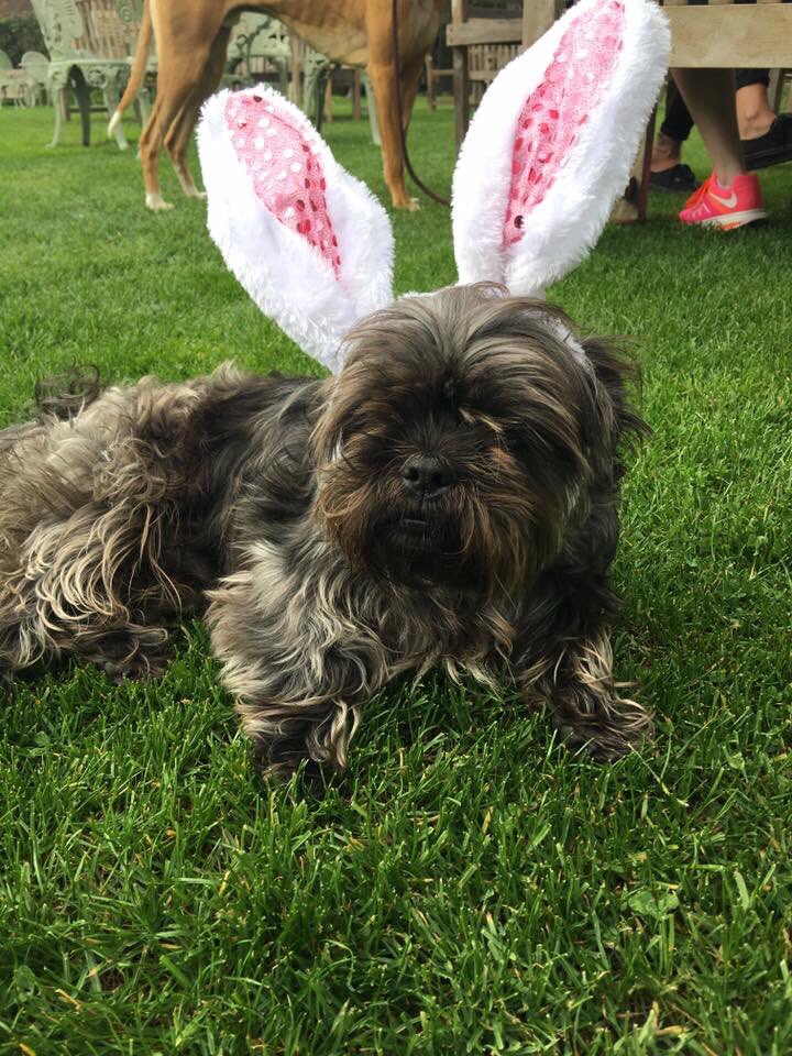 Celebrate the long Easter weekend with us!

Friday 30th March - 2nd April 2018.

Book your table today here > bit.ly/2faVSyw