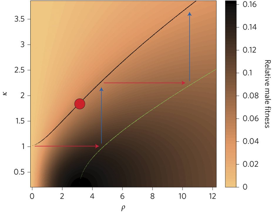 NatureEcoEvo's tweet image. Female plasticity tends to reduce sexual conflict nature.com/articles/s4155… #March2017highlight #ICYMI