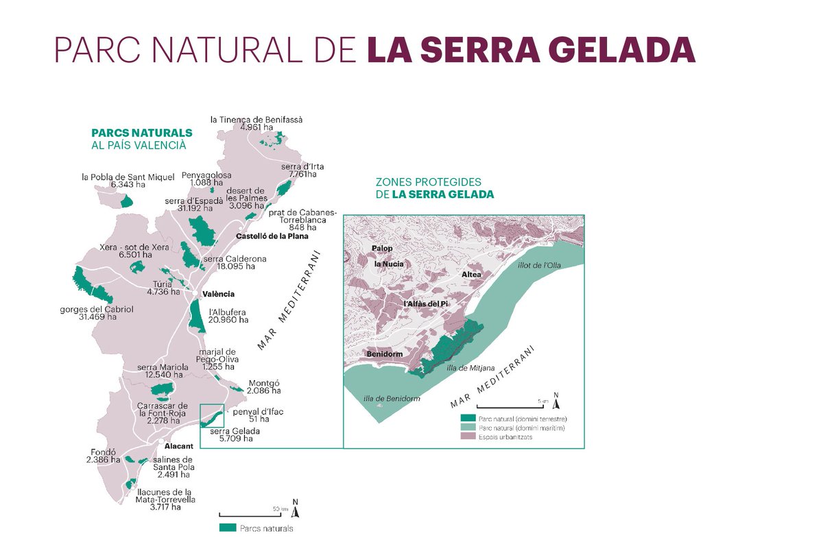 La_Directa's tweet photo. #AFONS | Benidorm, l'almadrava del turisme. Un model de negoci al marge de criteris de sostenibilitat imposa el monocultiu econòmic a la Marina Baixa i amenaça l’espai natural de serra Gelada. Reportatge de Derek Thornell i @Paula__Duran a la #Directa448
https://t.co/yPd1NlWZsn https://t.co/5y5UHb7VpM