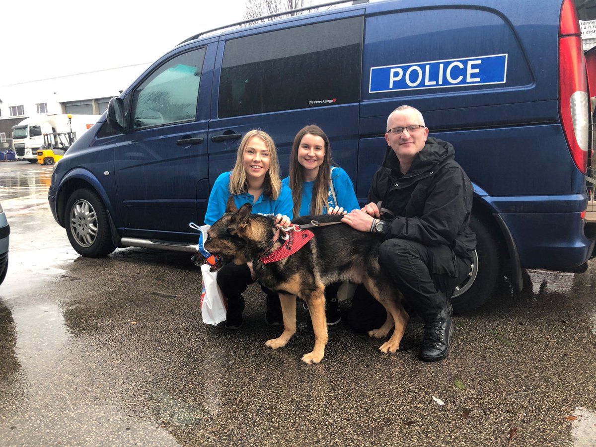 ChuckitUK's tweet photo. Congratulations to our furry friend Finn (@Davewardell) whose bravery has been awarded with a PDSA #GoldMedal! 🏅🐶

Here's our team meeting Dave and Finn at #Crufts! 😊

#PDSA100 #PetLife18 #Finnslaw #FinnForChange https://t.co/5pxOWyNBL8