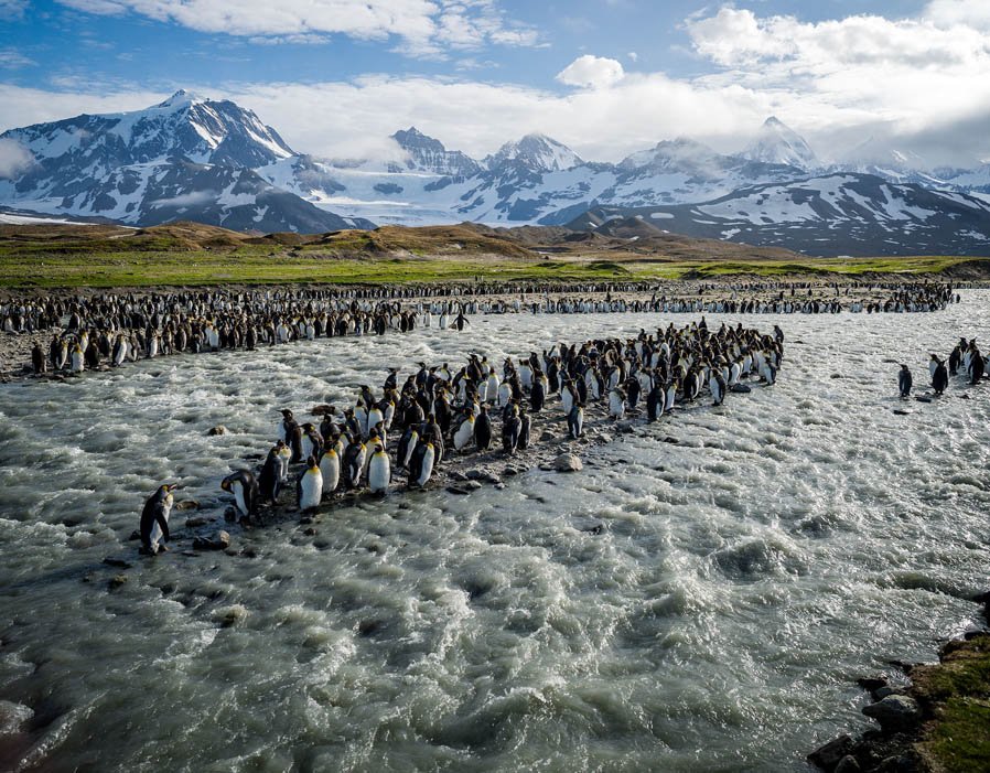 National Geographic Travel reveals world’s best birdwatching destinations 
bit.ly/2FJUxqY