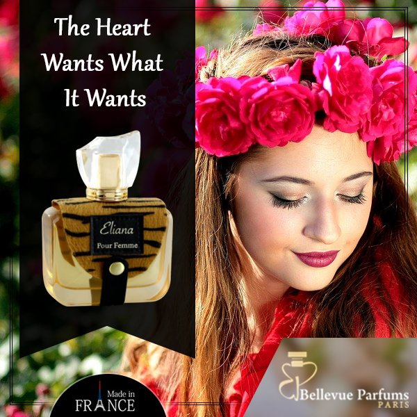 Bellevue Parfums (@parfumsbellevue) / Posts / X