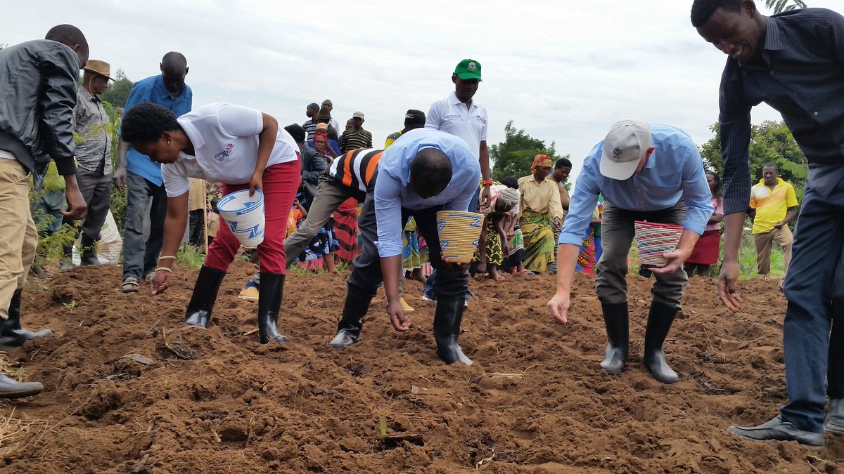 USAIDHingaWeze's tweet photo. Practicing what we preach! @HingaWezeRwanda team at @KayonzaDistrict with farmers, farmer promoters &amp; agro-dealers in a mini launch of the planting Season2018B https://t.co/Rudg3a7xcT