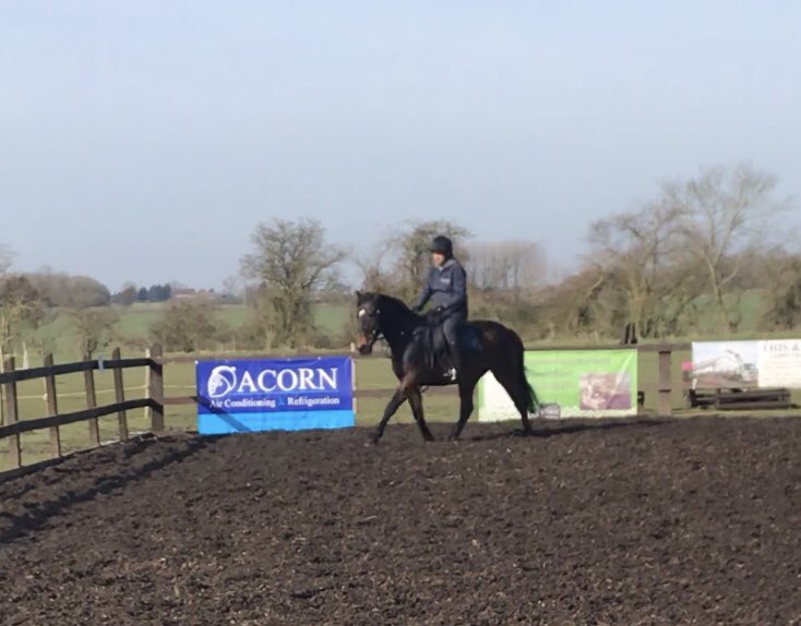 Acorn (@acornacrltd) on Twitter photo It would be rude not to canter past you’re own banner on your day off - well done Evan! 👍 It would be rude not to canter past you’re own banner on your day off - well done Evan! 👍