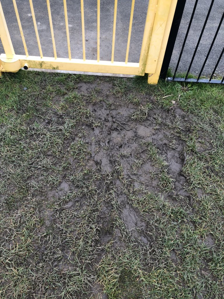 Alrivers89's tweet photo. @Swindonnews why would you put grass in a children’s park? It makes it unusable most of the year?!!! https://t.co/if25GcQat2