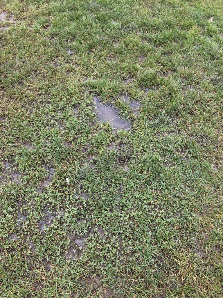 Alrivers89's tweet photo. @Swindonnews why would you put grass in a children’s park? It makes it unusable most of the year?!!! https://t.co/if25GcQat2