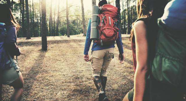 Ir de #camping no pasa de moda. Aquí os dejamos nuestras cinco razones para seguir viajando en libertad 👉 bit.ly/2FD0mWX #lovecamping #campinglovers