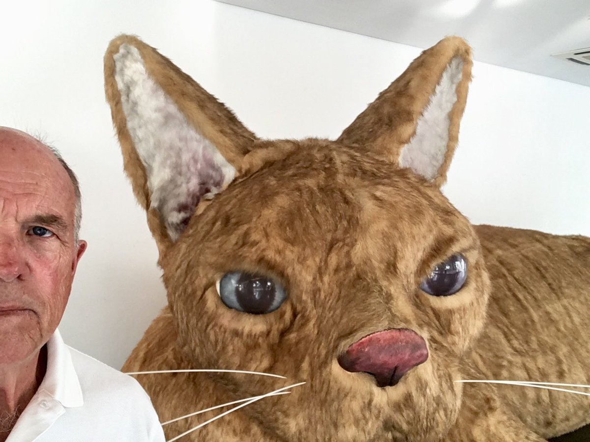 Dan Ashbach tweet media