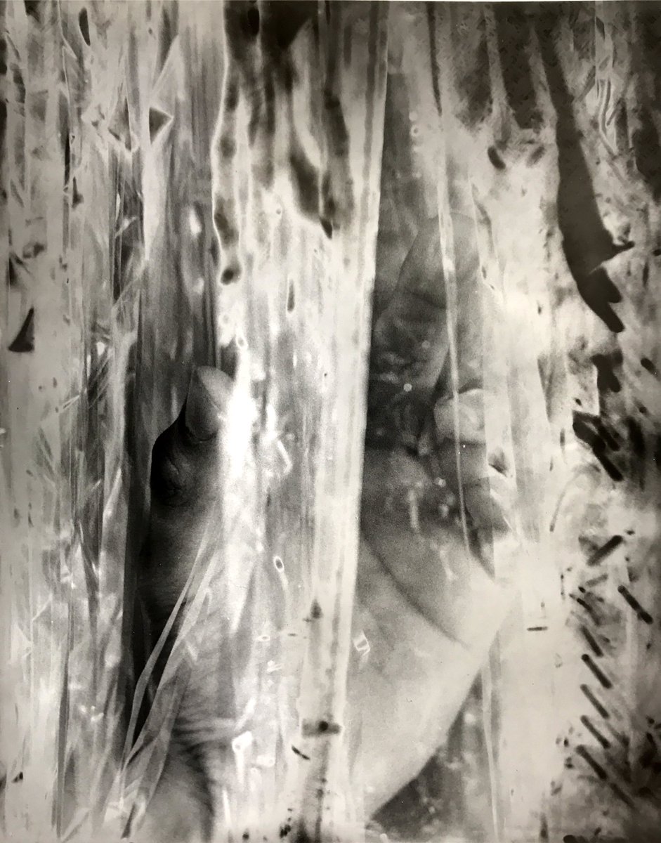 Luis E. Nuñez tweet media