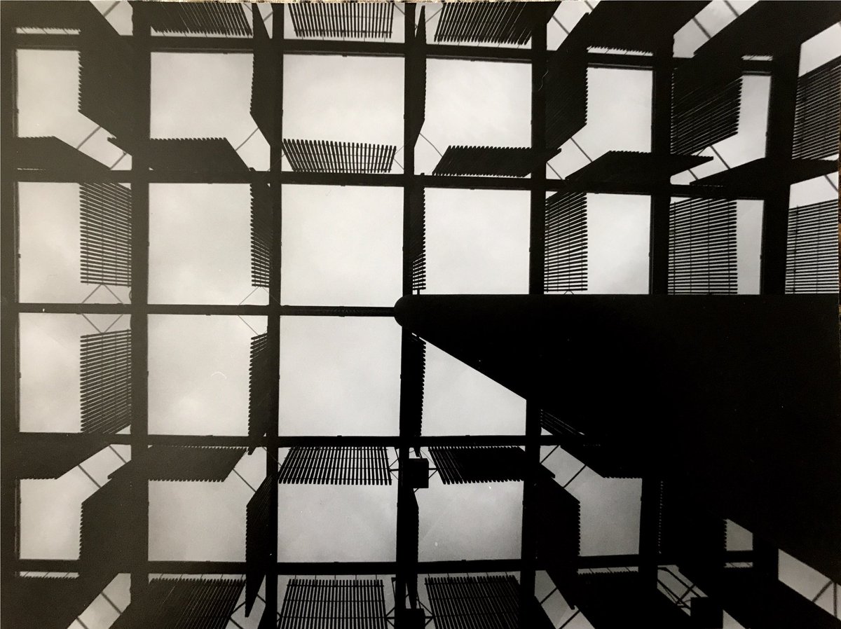 Luis E. Nuñez tweet media