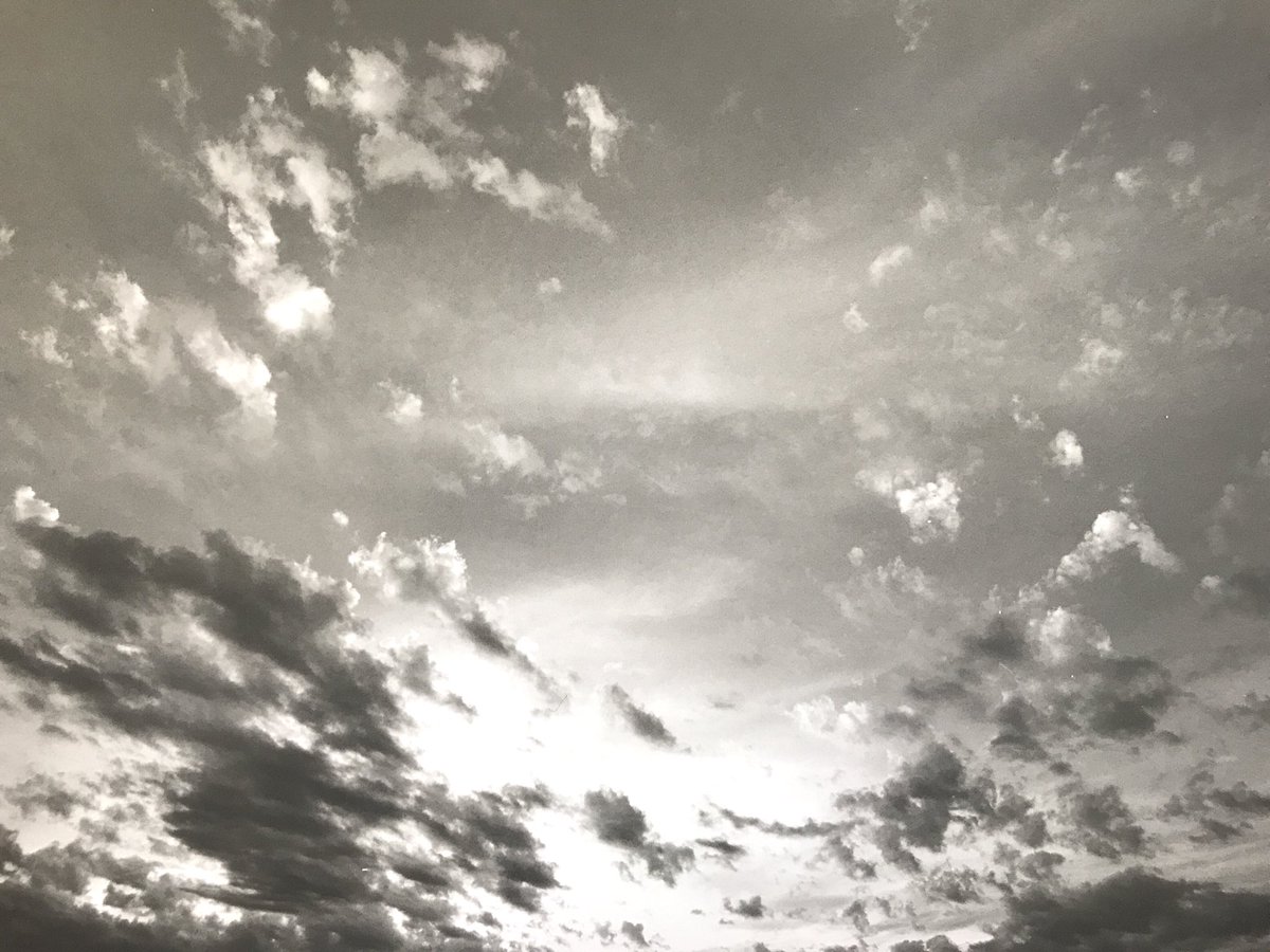 Luis E. Nuñez tweet media