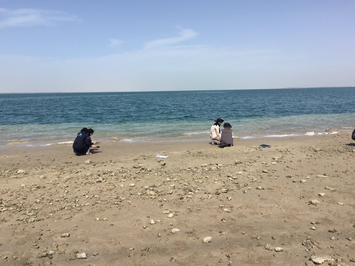 StephenLokier's tweet image. #SabkhaImageOfTheDay students measuring ripples on the #foreshore. Note the #hardground rip up clasts scattered on the beach.