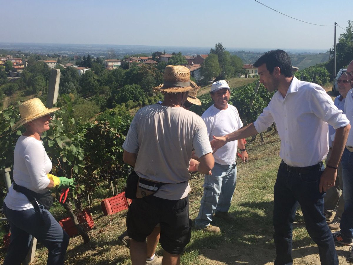 maumartina's tweet photo. È stato un onore servire il Paese in questi anni da Ministro. Grazie a quanti mi hanno dato fiducia e anche a quanti mi hanno criticato. Penso di aver dato un contributo positivo. Di certo il destino agricolo italiano rimarrà per me sempre un impegno e una passione https://t.co/QGsAg7AzyP