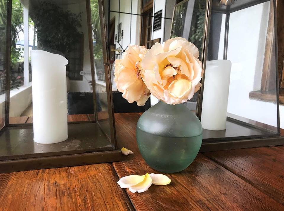 CottageCypress's tweet photo. Cypress Cottage guesthouse morning inspiration. Roses from the garden.
#cypresscottage #cypresscottage1796 #cypresscottageswellendam #swellendam #overberg #southafrica #roses #morning #flowers #stoepsessions #getaway #guesthouse #breakaway #bedandbreakfast https://t.co/4HBXSlexdc