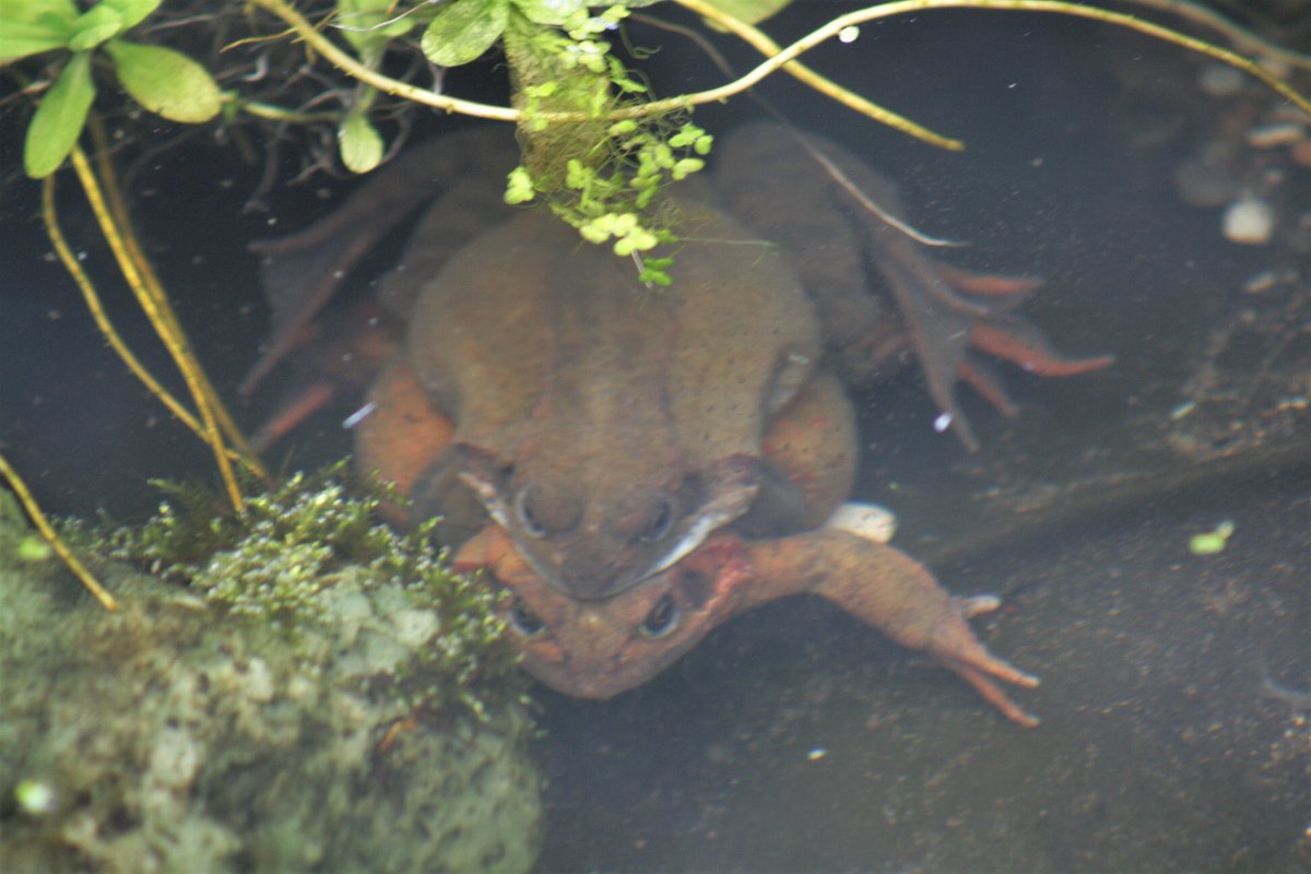 Mick (Tracey) 💚 tweet media