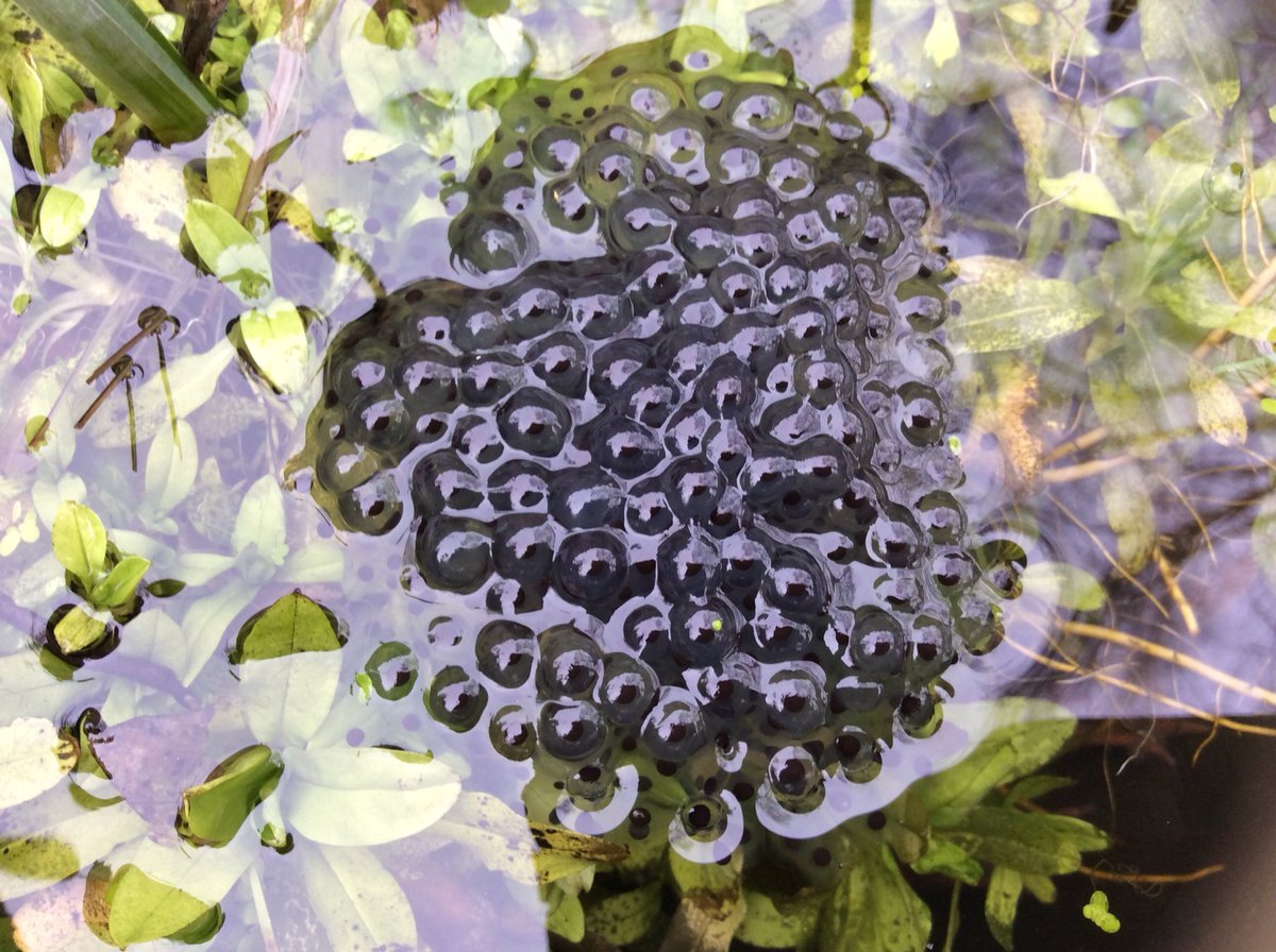 Mick (Tracey) 💚 tweet media