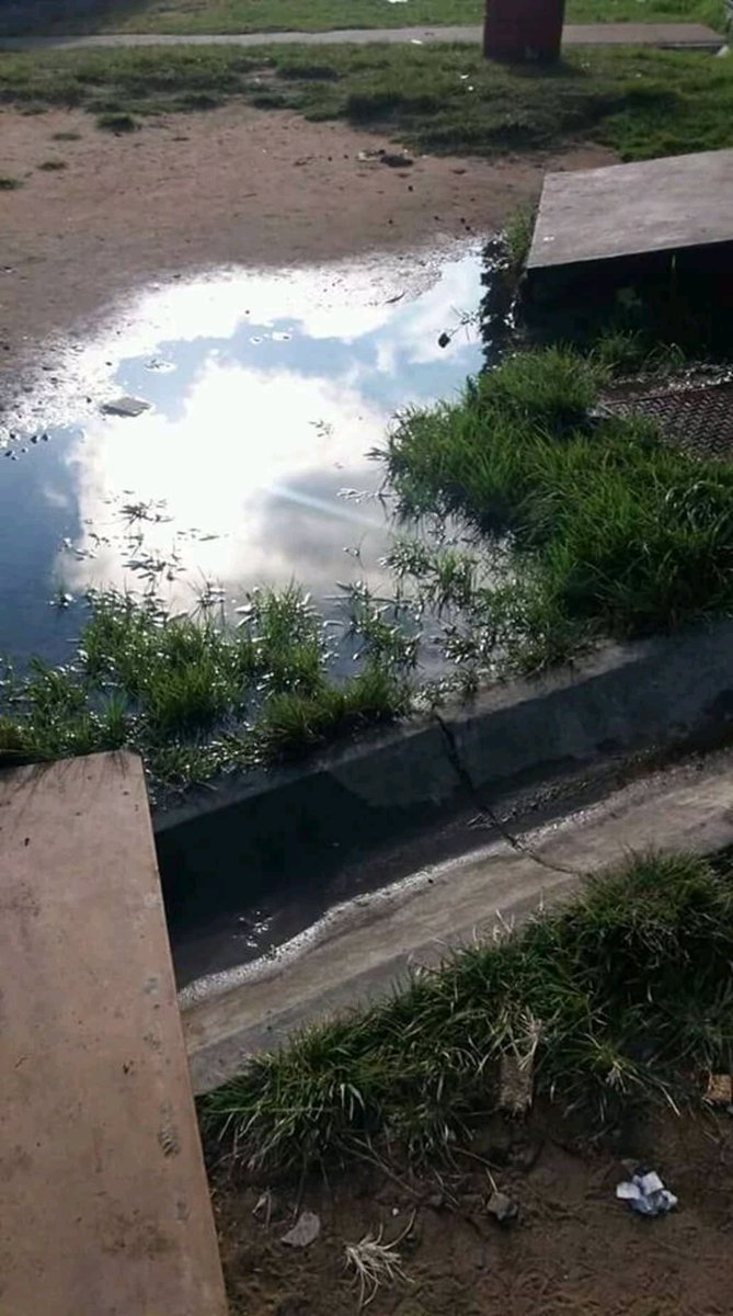 AdvoBarryRoux's tweet photo. This is the situation that has caused Lindile High school in Ermelo Mpumalanga to be shut down by health inspectors, those in charge are not doing anything while children have not been able to go to school for more than 2 weeks now. https://t.co/3meOiMEiCd