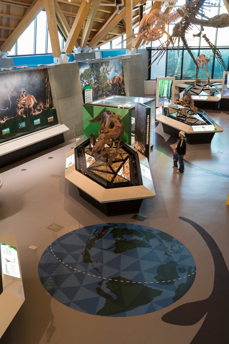 cnl_showcases's tweet photo. Yesterday was Philip J Currie's birthday! So this week's #MidWeekMuseum just HAD to be dedicated to the incredible paleontologist and the showcases we created for the @CurrieMuseum

#PhilipJCurrie #Birthday #CurrieDinosaurMuseum https://t.co/7GyCL3AcOb