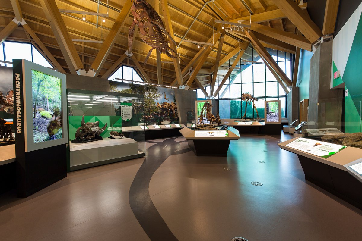 cnl_showcases's tweet photo. Yesterday was Philip J Currie's birthday! So this week's #MidWeekMuseum just HAD to be dedicated to the incredible paleontologist and the showcases we created for the @CurrieMuseum

#PhilipJCurrie #Birthday #CurrieDinosaurMuseum https://t.co/7GyCL3AcOb