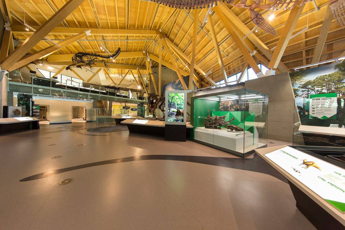 cnl_showcases's tweet photo. Yesterday was Philip J Currie's birthday! So this week's #MidWeekMuseum just HAD to be dedicated to the incredible paleontologist and the showcases we created for the @CurrieMuseum

#PhilipJCurrie #Birthday #CurrieDinosaurMuseum https://t.co/7GyCL3AcOb