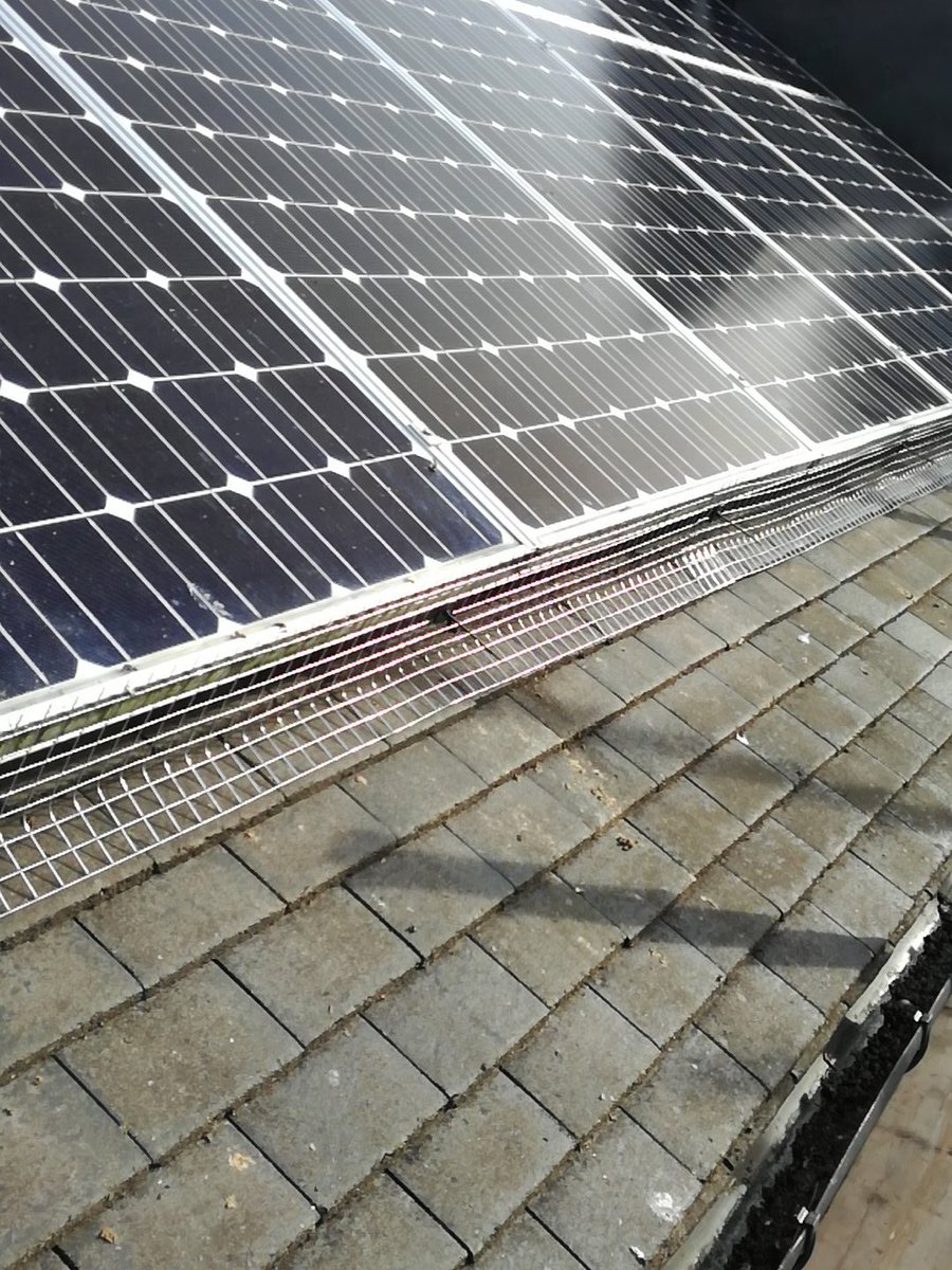 GreenwayIPM's tweet photo. Glad to see some dry weather. Time to crack on with some bird work #pigeons #solarpanels #pestcontrol https://t.co/GNkAYOtwpE
