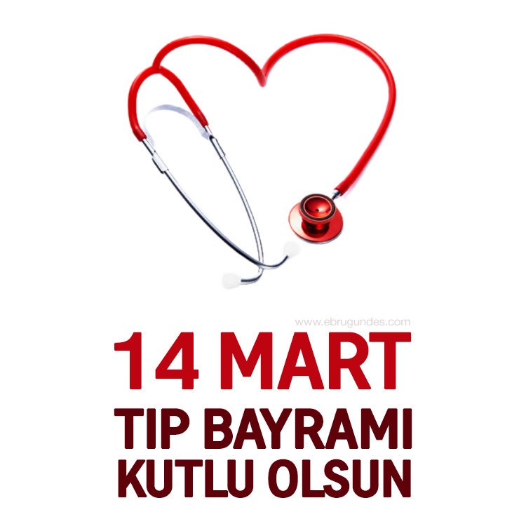 Ebru Gündeş (@ebrugundes) on Twitter photo 