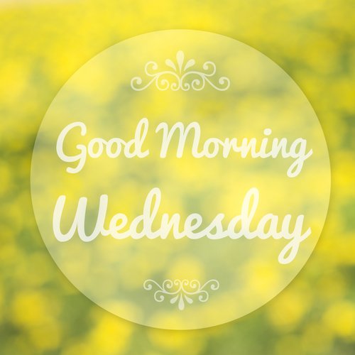 GfAUKLtd's tweet photo. Phew, halfway! #happywednesday ! https://t.co/RkrfljUwSX