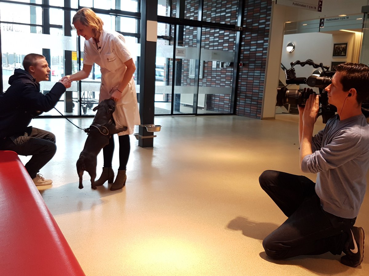 VET_UniUtrecht's tweet photo. Benieuwd welke problemen kortsnuitige honden hebben? Onze expert Sarah van Rijn geeft vanavond om 19.00 uur in het #jeugdjournaal antwoord. https://t.co/ZneigkHTKY