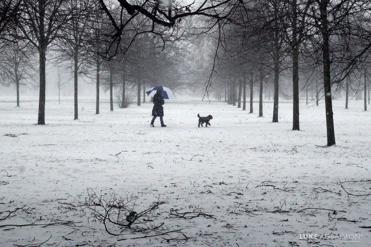 #Dog walk in the #snow, #Kensington palace gardens by Luke Agbaimoni 

More #London #photography 
tubemapper.com/high-street-ke…

#travel #dogsoftwitter #streetphotography #palacephoto #uksnow #puppy #dogs #HydePark @KensingtonRoyal
