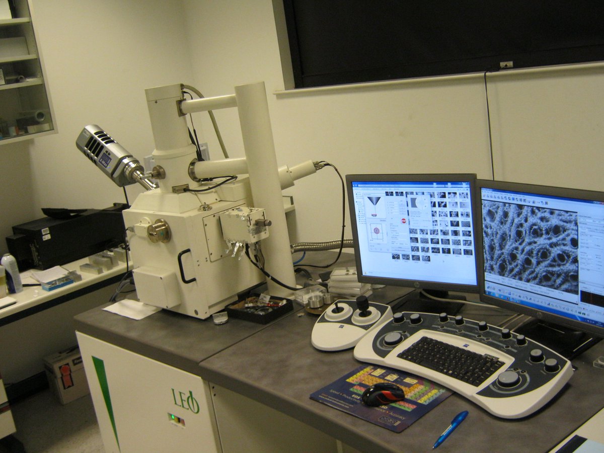 The <a href="/NHM_London/">Natural History Museum</a> has a LEO 1455VP SEM available for sale! Full details available from Jim Baker (j.baker@nhm.ac.uk) or Alex Ball (a.ball@nhm.ac.uk). Details of your offer to either by Friday 23 March 2018 at 5pm.