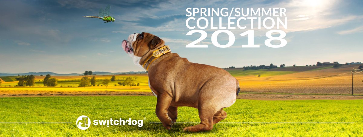 InfoSwitchdog's tweet photo. Switchdog is pleased to present the new spring/summer 2018 collection!
Look new catalog to find out all the news!!!

https://t.co/PEpMiKVZZG

#switchdog #frenchbulldog #frenchbulldogsofinstagram #frenchiebulldog #collarfordog #collaripercani #collection2018 #doglover #doglovers https://t.co/gV4yUWVXIX