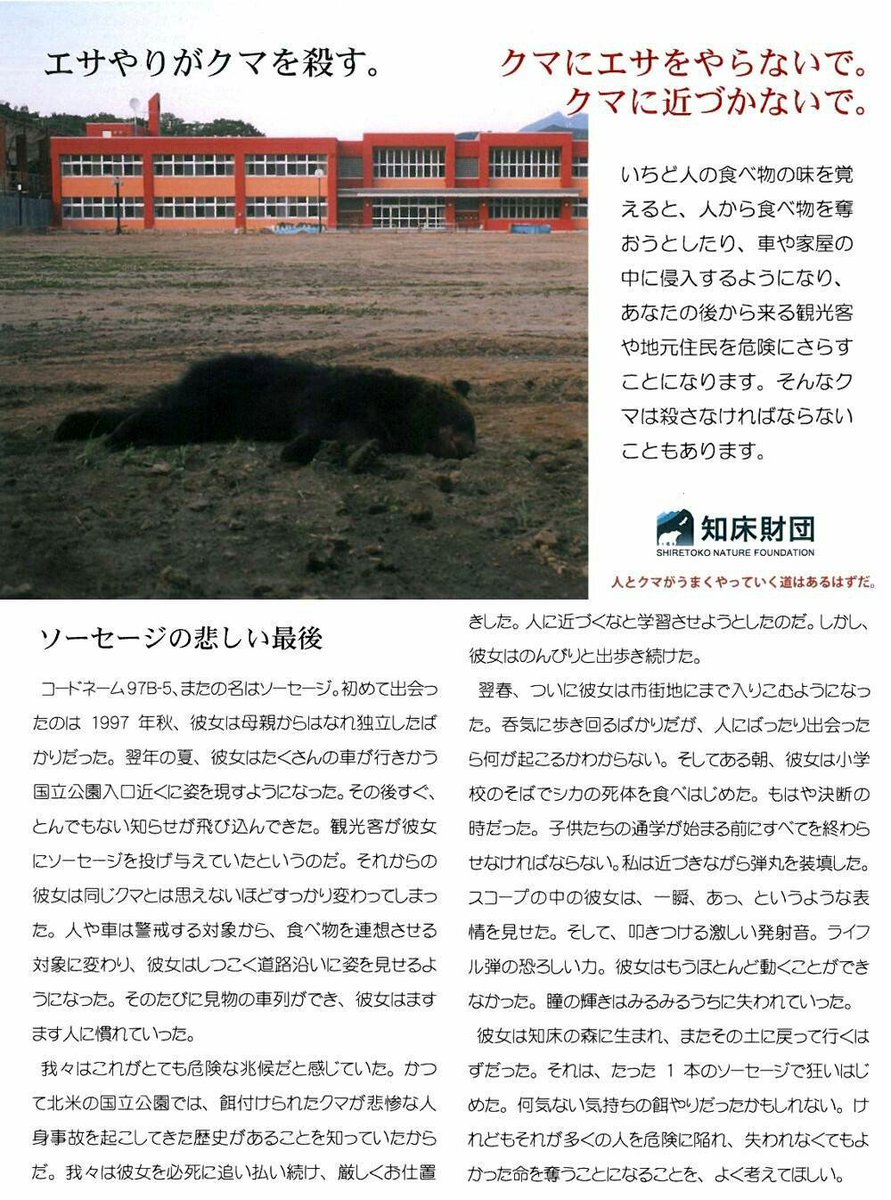 ざわお アントワネット モト冬樹さんのスズメの違法飼育ニュースが話題ですが 皆様これも読んでみて クマとスズメ 餌付けと飼育では色々と違いますが 野生動物と関わる際 こんな悲しい結末も孕んでいる事をどうかお忘れなく でも モトさんの気持ち