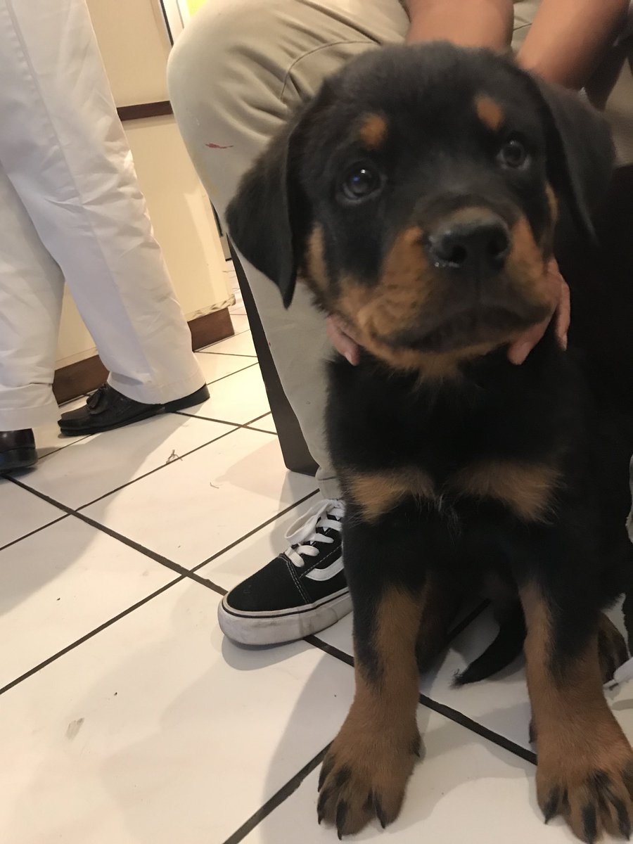 Nuevo guapeton de la family