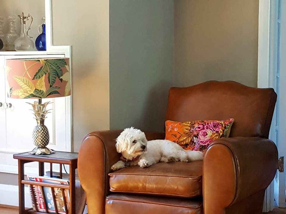 makesbakescakes's tweet image. Neon chintz Kaffe Fassett cushion, handmade in floral delight, orange, perfect lift for a 1920s cloud shaped leather chair (and loved by the dog). Costs £4/fat quarter. #brightflorals #cushions #handmadeprojects #makesbakescakes @KaffeFassettStu