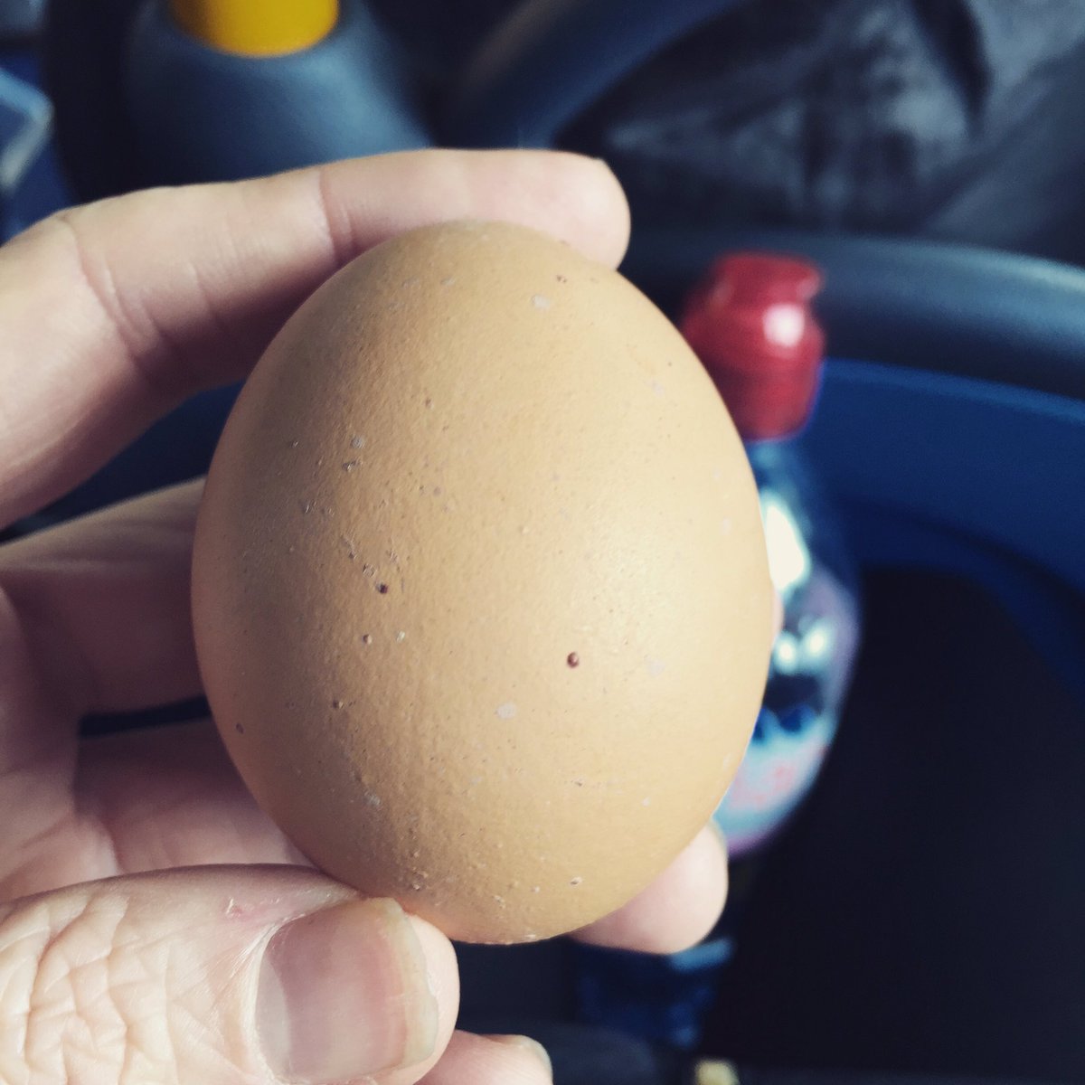 Taking #Mindfulness to another level with this eggsperiment. Going to carry it in my pocket today in the hope it doesn't crack.. #eggciting