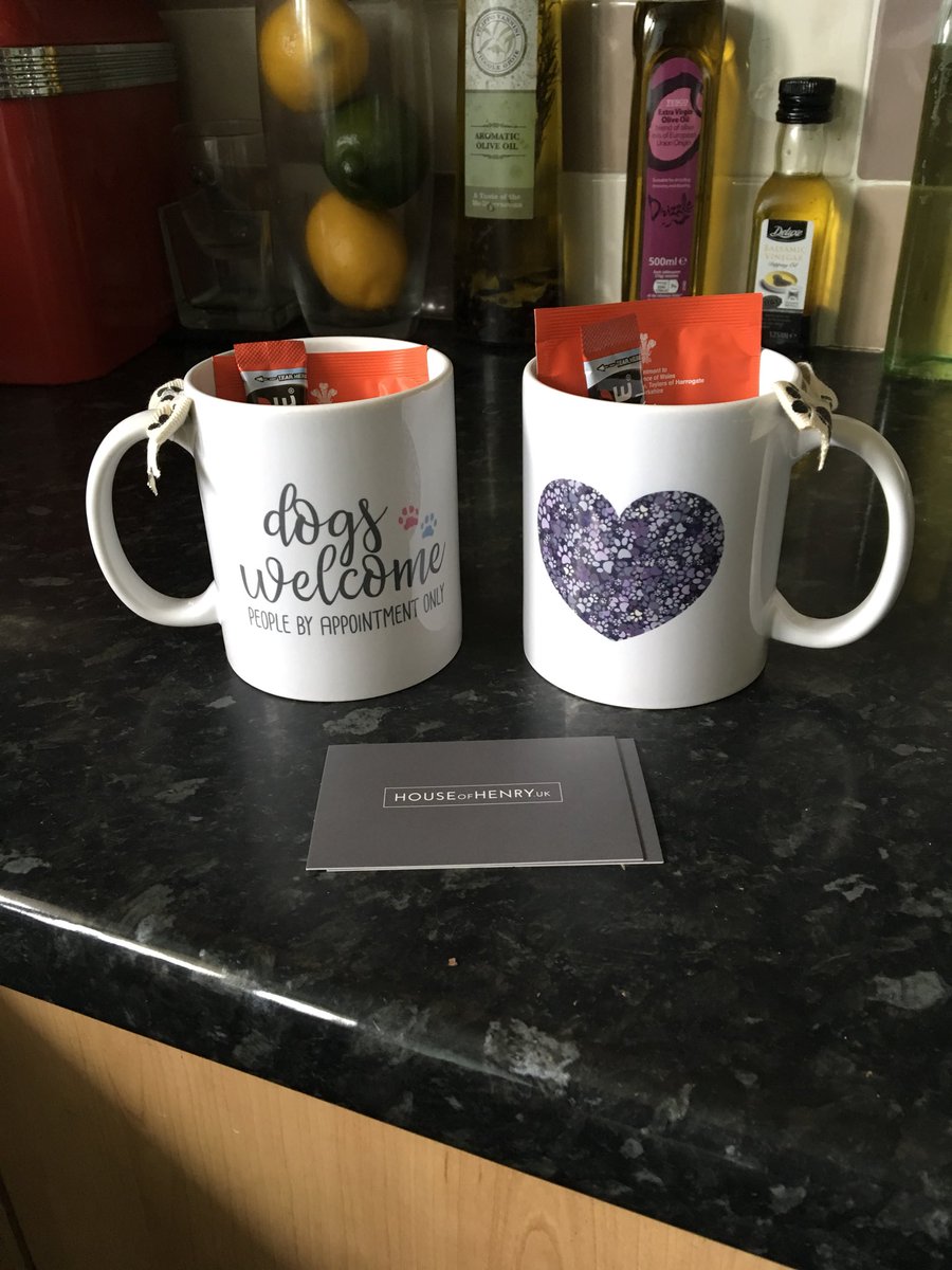 animalstaruk's tweet image. .@houseofhenryuk Thank you for our gorgeous mugs, they are so fabulous! The packaging and contents were an added bonus too #ASA #HouseOfHenry