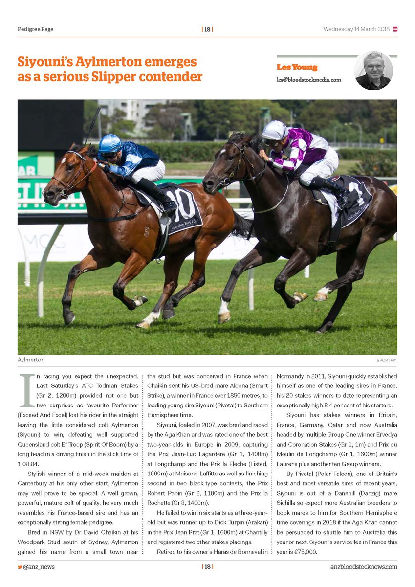 AgaKhanStuds's tweet photo. #Inthenews – #Siyouni’s Aylmerton emerges as a serious Slipper contender in today’s @anz_news. #Promising2yo #unbeaten2yo #Sireonfire #moretocome #SourceofStakeswinners #Naturalspeed #Naturallysuccessful https://t.co/A0dgRBdFfl