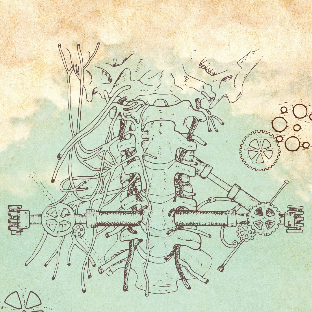 Wusstet ihr, dass morgen Tag der Rückengesundheit ist? Und wie sollte es anders sein, erscheint dazu natürlich unsere Kampagne „Gesunder Rücken - Die Stütze des Körpers“ morgen in der <a href="/welt/">WELT</a>.  #TagderRückengesundheit #Rücken #Rückenschmerzen #Schmerzen #Skoliose #Rückenbeschwerden