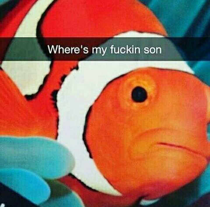kookie_greentae's tweet photo. Me @BigHitEnt if Jin doesn't get more attention in the next come back
#WeLoveYouSeokjin #BTSHas7Members #BTStheBESTofme https://t.co/3FS9j483Fb