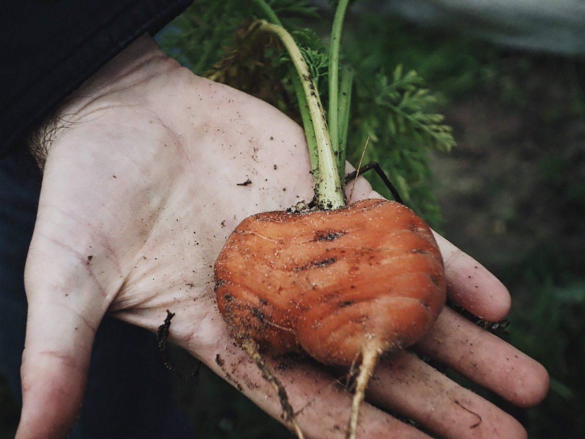 LResistants's tweet photo. "L'enjeu, c'est de (bien) nourrir les gens " https://t.co/h0R6iAiECQ - discussion avec Grégoire Desnoulez, maraîcher #bio en Normandie #agriculture https://t.co/7aBmT8xlhf