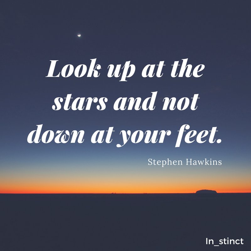 Instinct tweet media